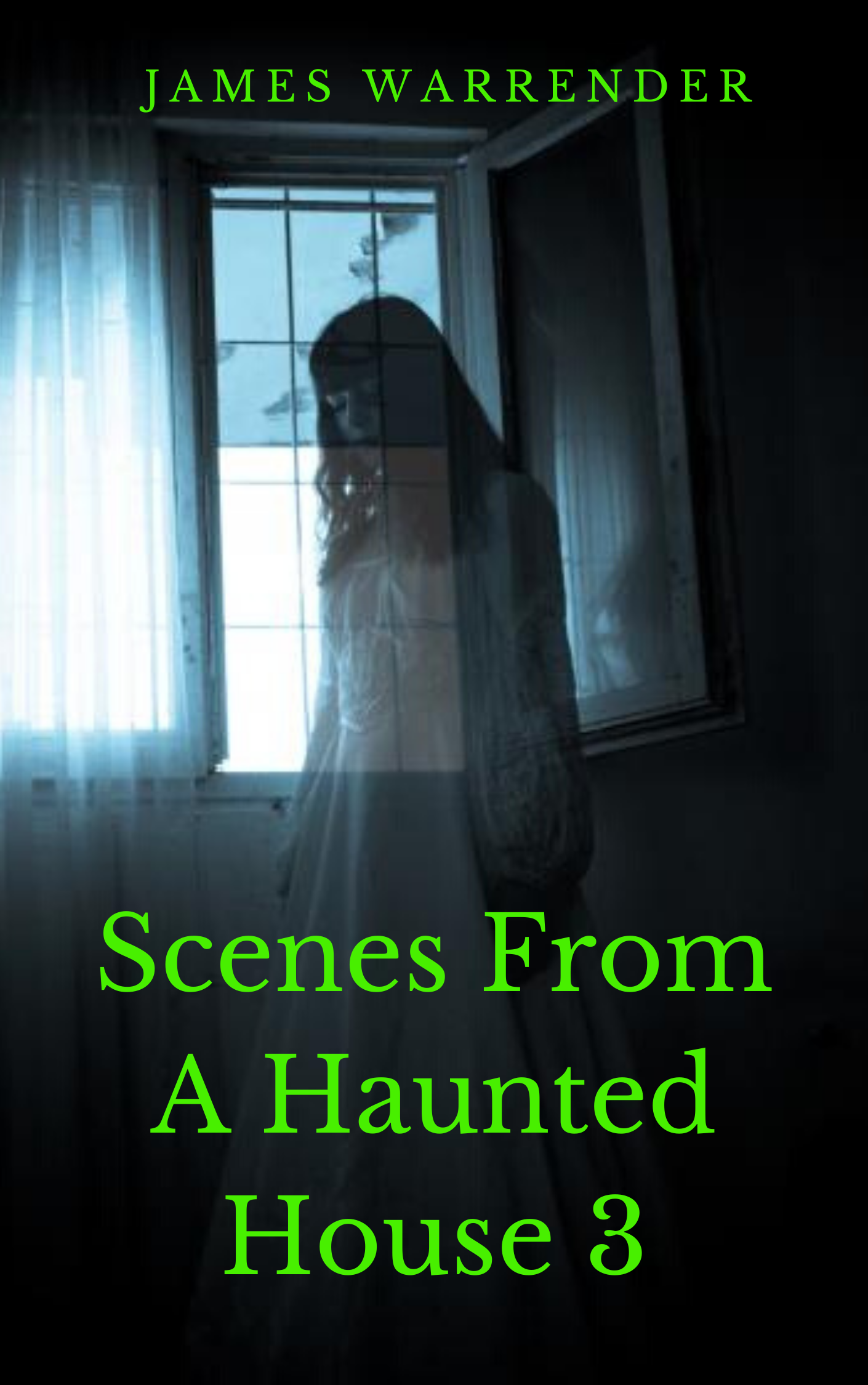 Scenes From A Haunted House 3 cover