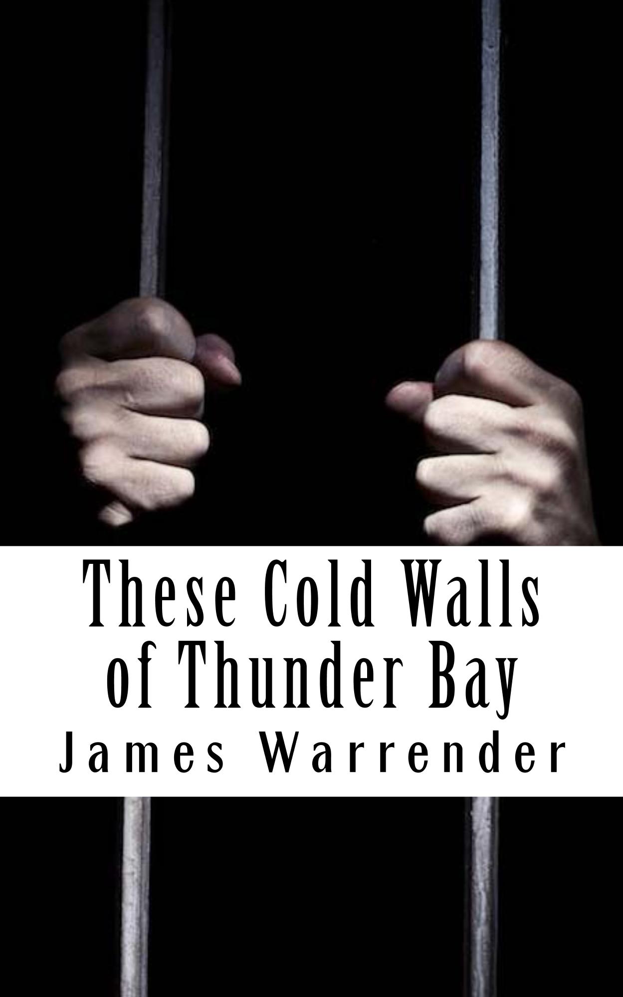 These Cold Walls of Thunder Bay cover