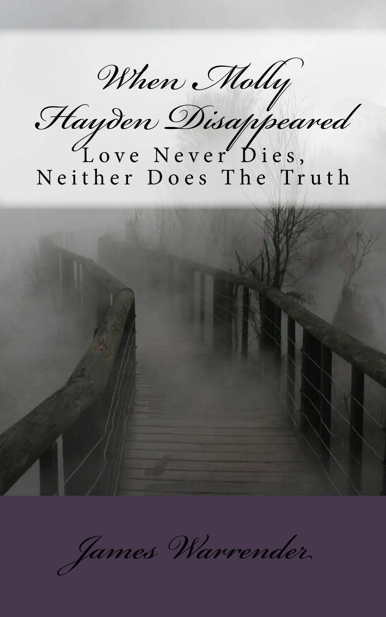 When Molly Hayden Disappeared cover